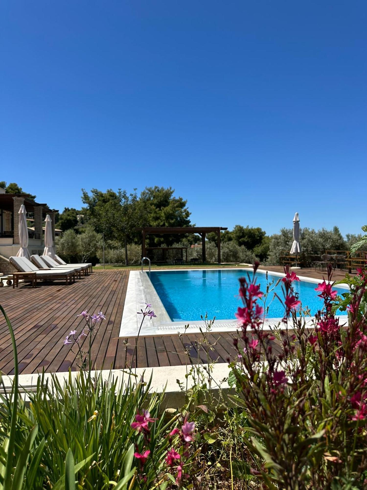 Villa Kalamos / Sea View And Pool Nearby Athens Buitenkant foto